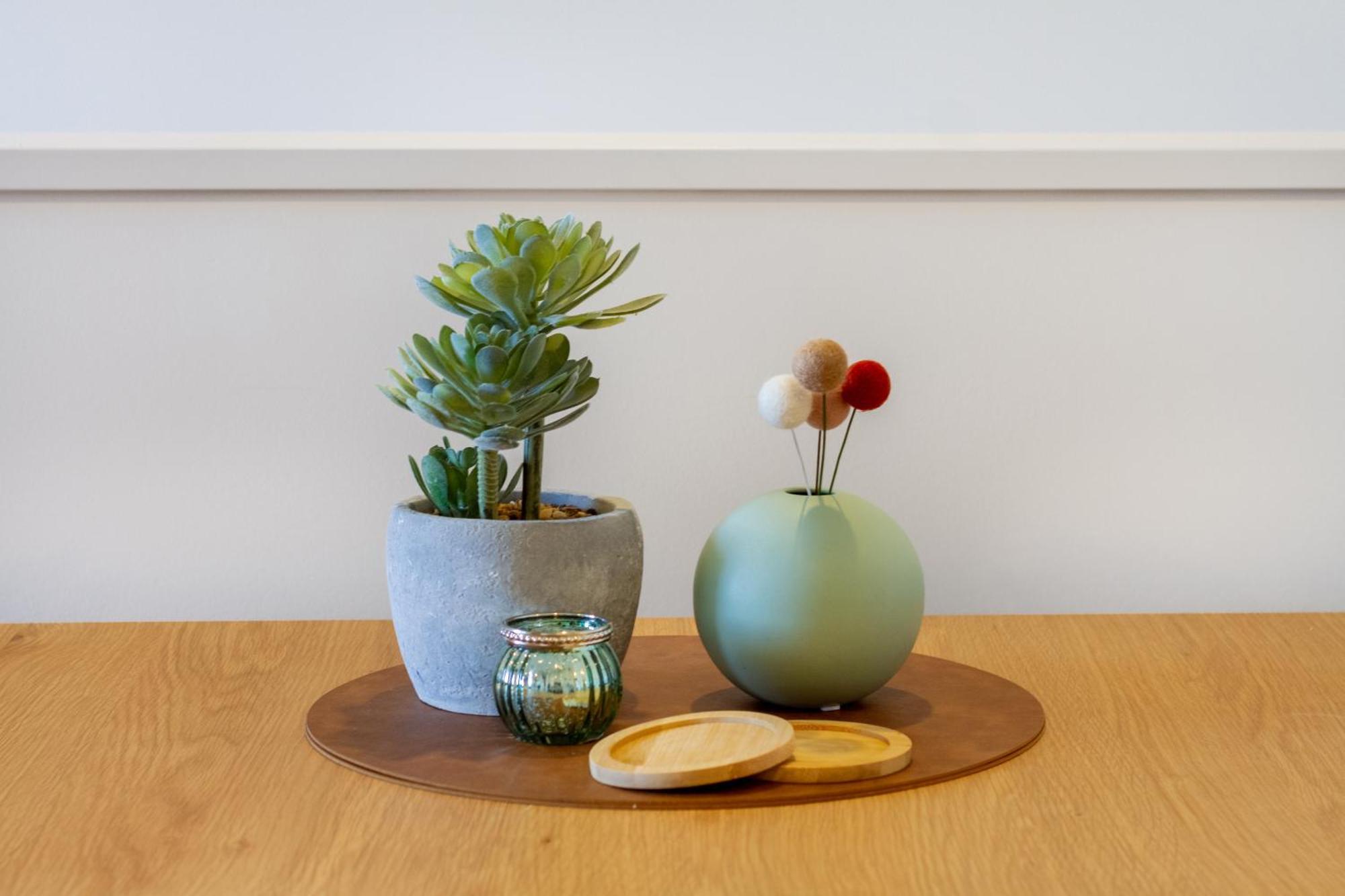 City Living: Upper Studio Haven On Wilmer 基督城 外观 照片